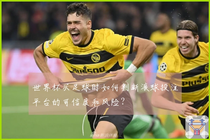 世界杯买足球时如何判断滚球投注平台的可信度和风险？