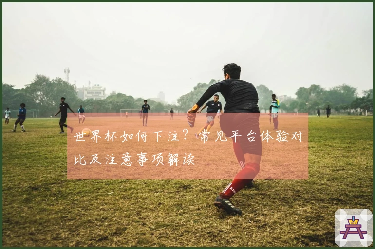 世界杯如何下注？常见平台体验对比及注意事项解读