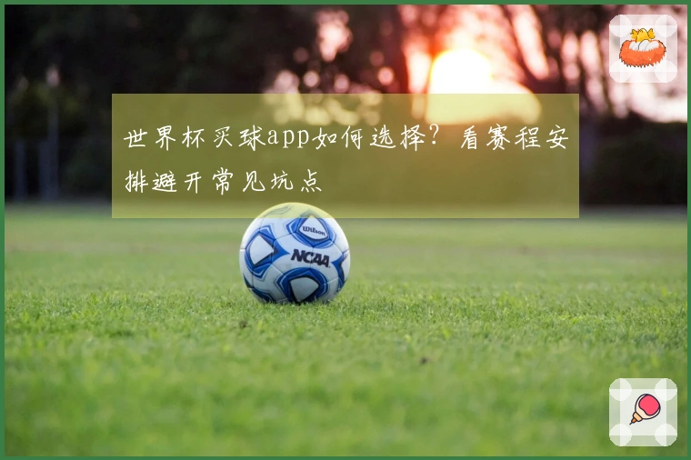 世界杯买球app如何选择？看赛程安排避开常见坑点