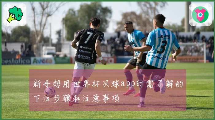 新手想用世界杯买球app时需了解的下注步骤和注意事项