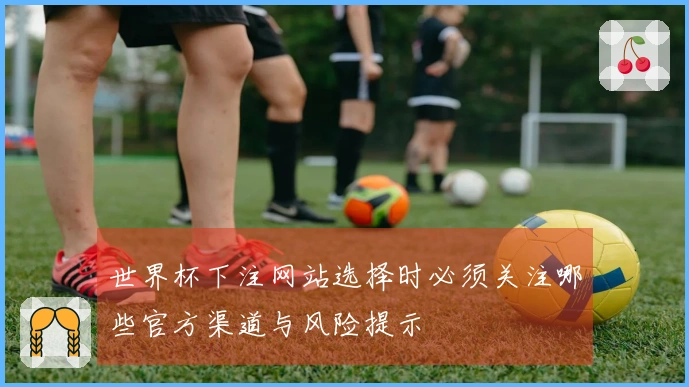 世界杯下注网站选择时必须关注哪些官方渠道与风险提示