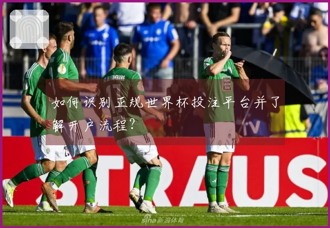 如何识别正规世界杯投注平台并了解开户流程？