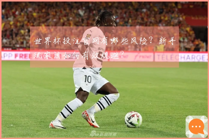 世界杯投注官网有哪些风险？新手玩家该如何有效规避？