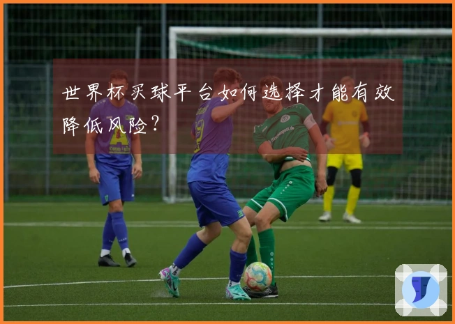 世界杯买球平台如何选择才能有效降低风险？