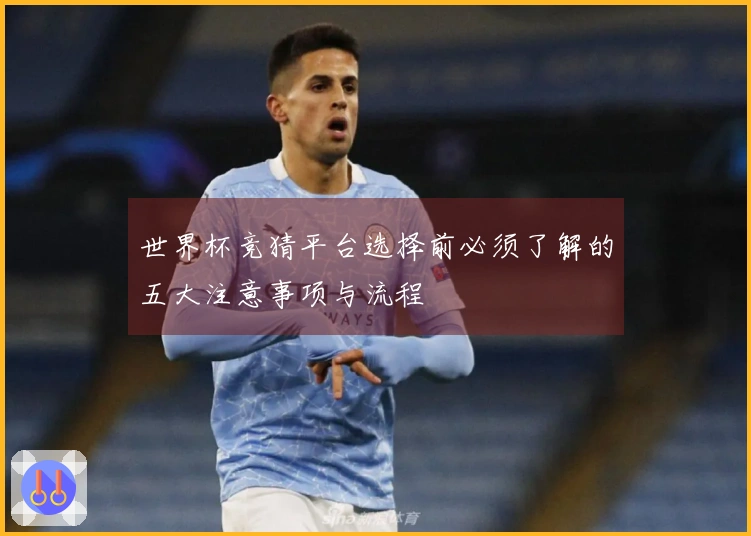 世界杯竞猜平台选择前必须了解的五大注意事项与流程
