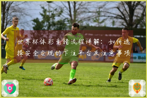 世界杯体彩竞猜流程详解：如何选择安全合规的下注平台及注意事项
