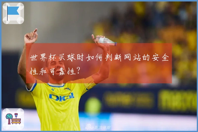 世界杯买球时如何判断网站的安全性和可靠性？