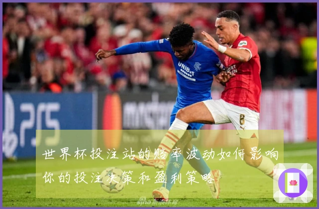 世界杯投注站的赔率波动如何影响你的投注决策和盈利策略
