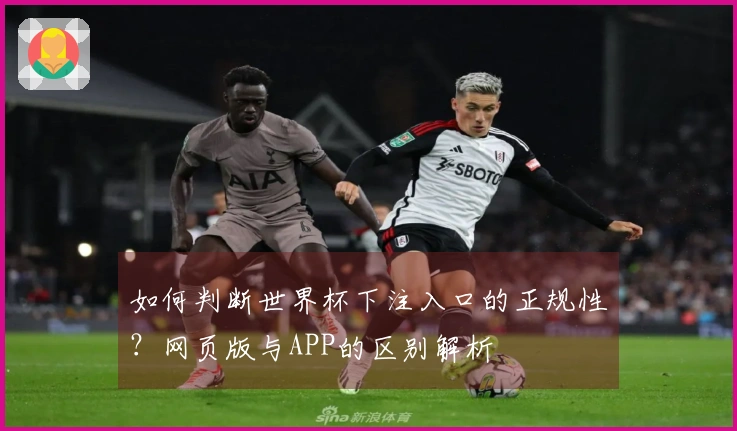 如何判断世界杯下注入口的正规性？网页版与APP的区别解析