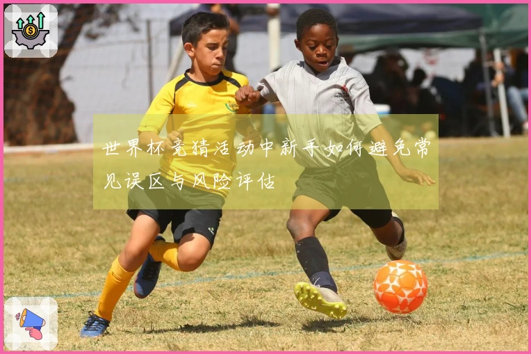 世界杯竞猜活动中新手如何避免常见误区与风险评估