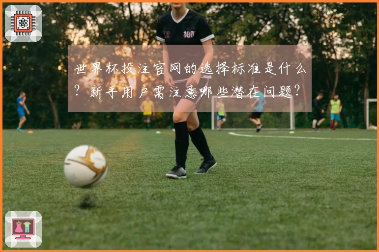 世界杯投注官网的选择标准是什么？新手用户需注意哪些潜在问题？