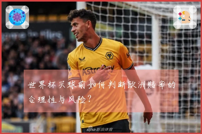 世界杯买球前如何判断欧洲赔率的合理性与风险？