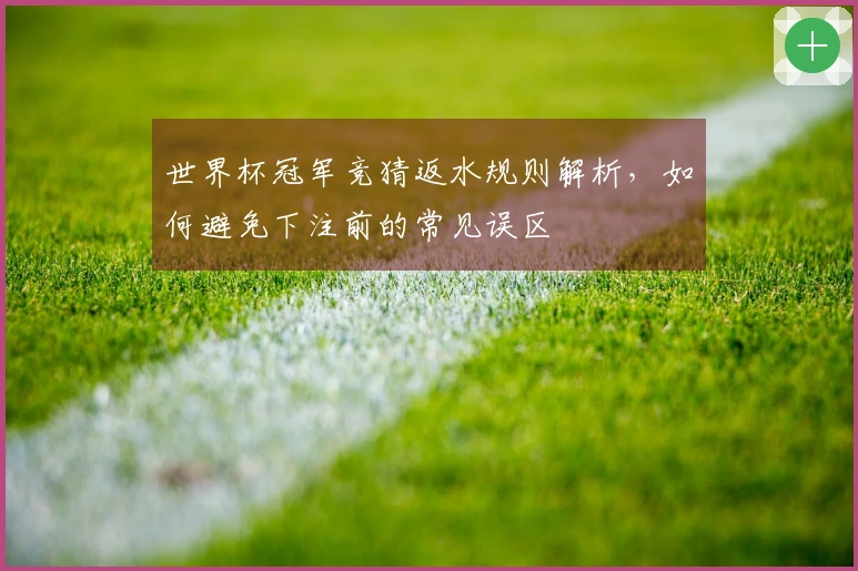 世界杯冠军竞猜返水规则解析，如何避免下注前的常见误区
