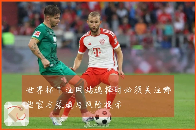 世界杯下注网站选择时必须关注哪些官方渠道与风险提示