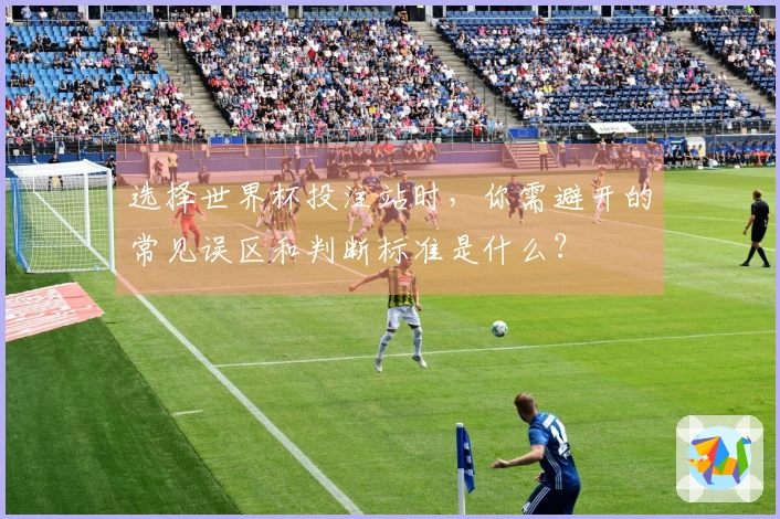 选择世界杯投注站时，你需避开的常见误区和判断标准是什么？