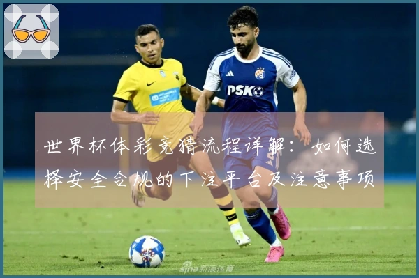 世界杯体彩竞猜流程详解:如何选择安全合规的下注平台及注意事项