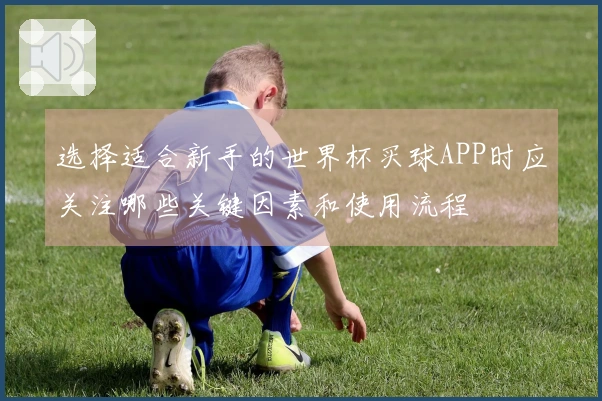 选择适合新手的世界杯买球APP时应关注哪些关键因素和使用流程