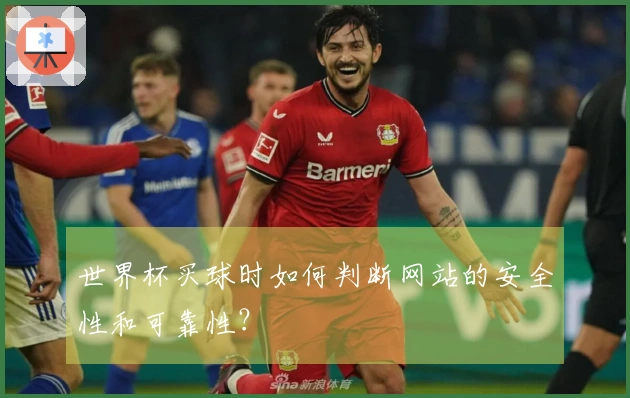 世界杯买球时如何判断网站的安全性和可靠性？