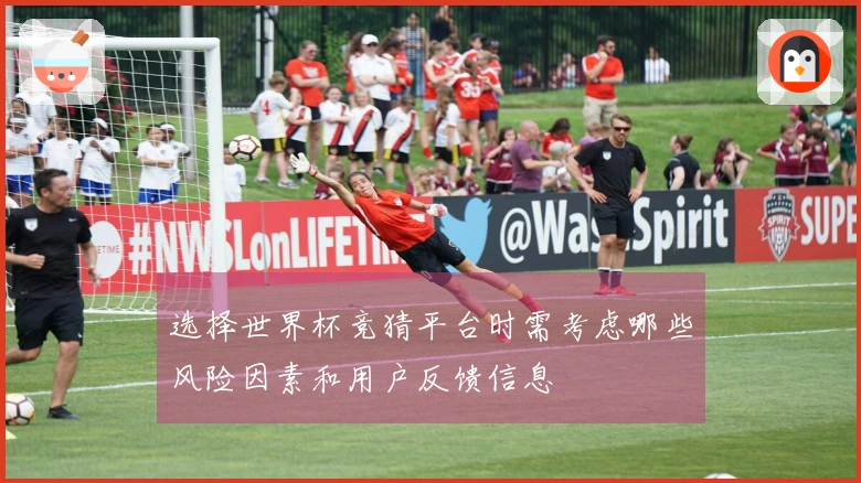 选择世界杯竞猜平台时需考虑哪些风险因素和用户反馈信息