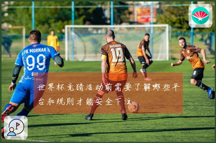 世界杯竞猜活动前需要了解哪些平台和规则才能安全下注