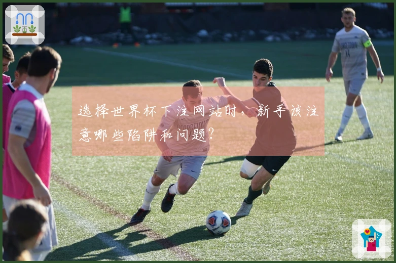 选择世界杯下注网站时，新手该注意哪些陷阱和问题？