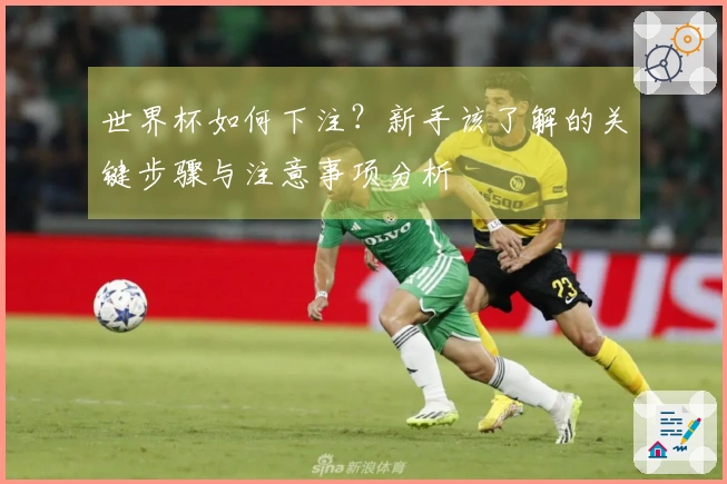 世界杯如何下注？新手该了解的关键步骤与注意事项分析