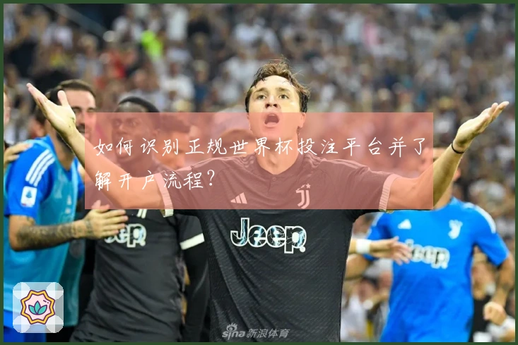 如何识别正规世界杯投注平台并了解开户流程？
