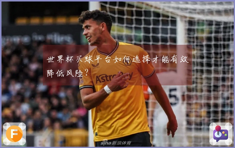 世界杯买球平台如何选择才能有效降低风险？
