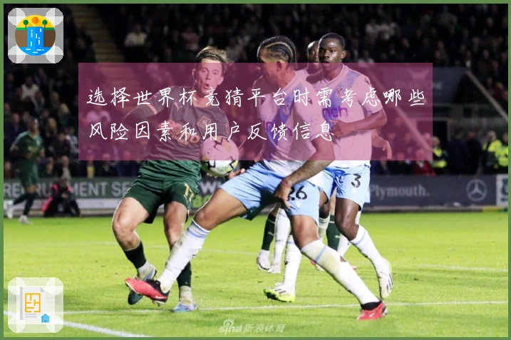 选择世界杯竞猜平台时需考虑哪些风险因素和用户反馈信息